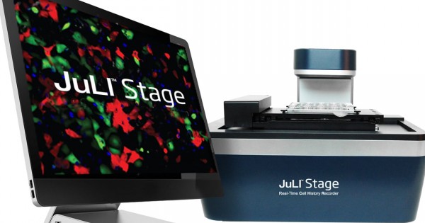 Zautomatyzowany, cyfrowy analizator obrazowania fluorescencyjnego JuLIStage firmy NanoEntek